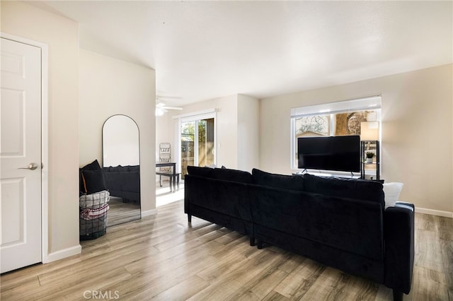 living room featuring a wealth of natural light, ceiling fan, and light hardwood / wood-style flooring