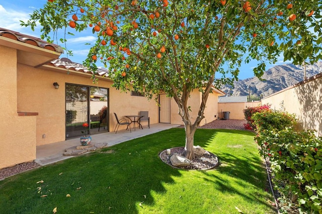 view of yard with a patio and a mountain view