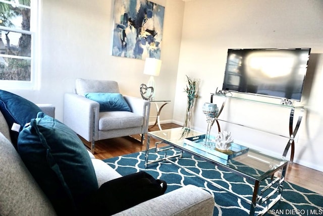 living room featuring dark hardwood / wood-style floors