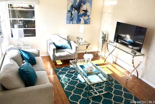 living room featuring hardwood / wood-style flooring