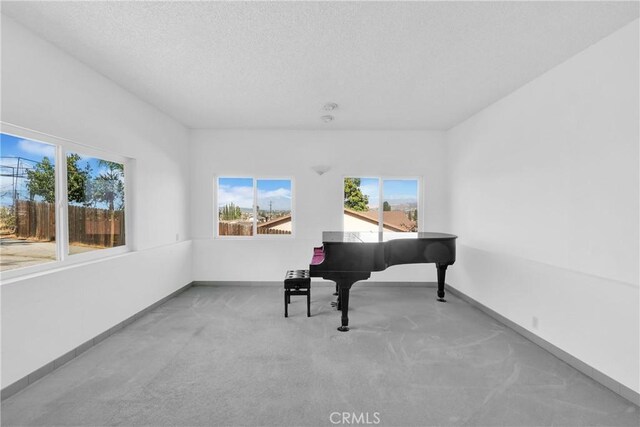 miscellaneous room with a textured ceiling and light carpet