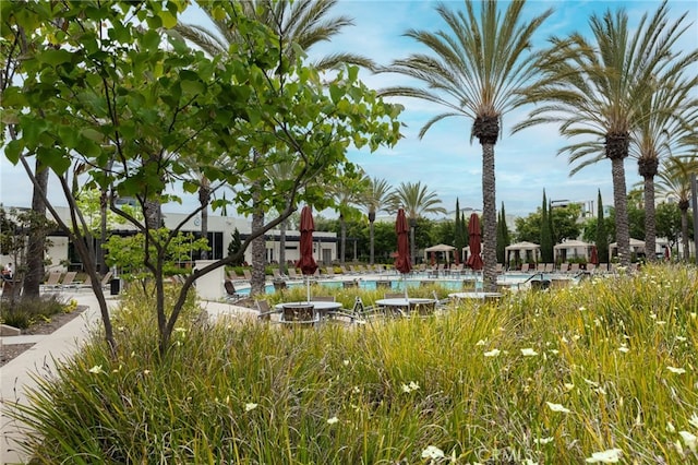 5550 Boardwalk Unit 102, Hawthorne, CA 90250 - view of community with a pool
