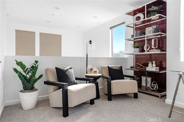 sitting room featuring light carpet