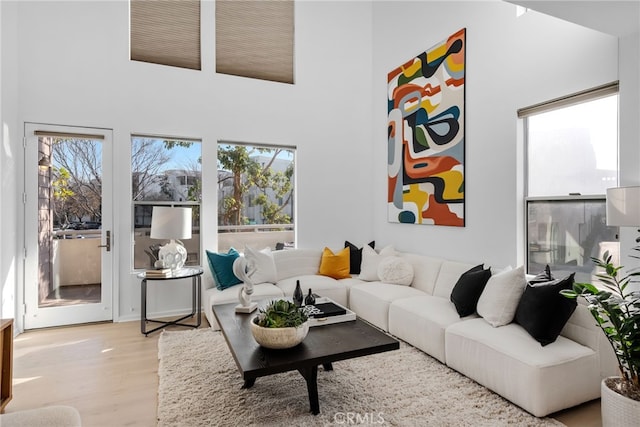 living room featuring a towering ceiling and light hardwood / wood-style floors