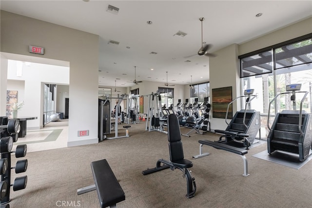 5550 Boardwalk Unit 102, Hawthorne, CA 90250 - workout area with a ceiling fan, carpet flooring, plenty of natural light, and recessed lighting