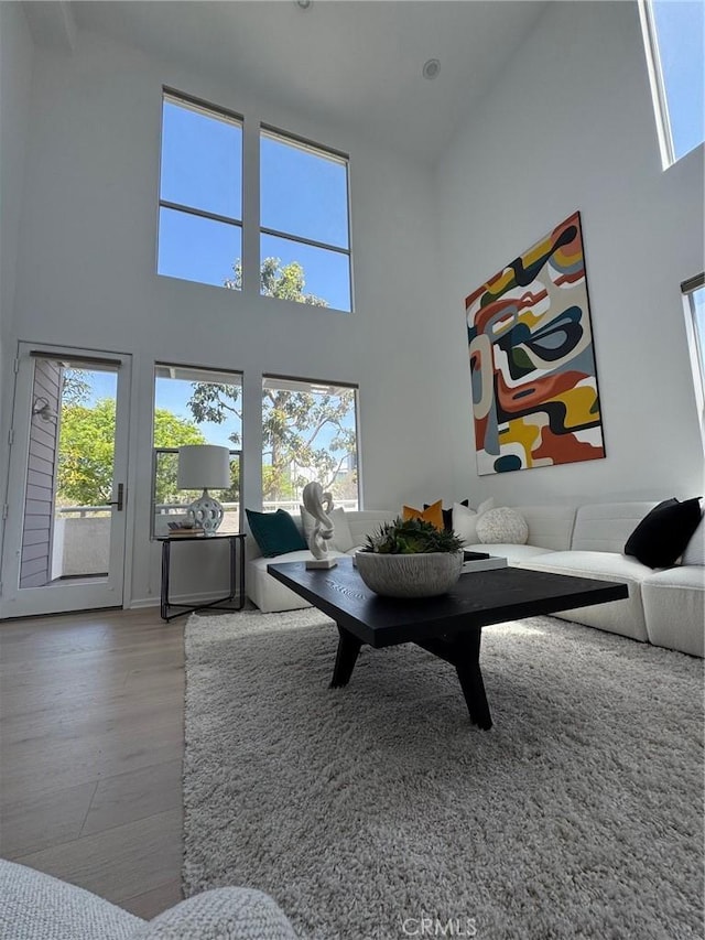 5550 Boardwalk Unit 102, Hawthorne, CA 90250 - living room with a high ceiling, plenty of natural light, and wood finished floors