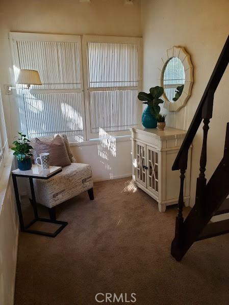 sitting room with carpet