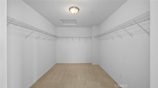 walk in closet featuring carpet