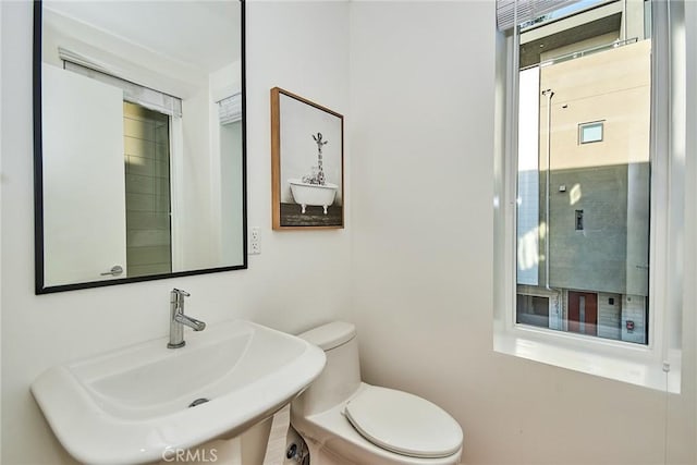 bathroom featuring toilet and sink