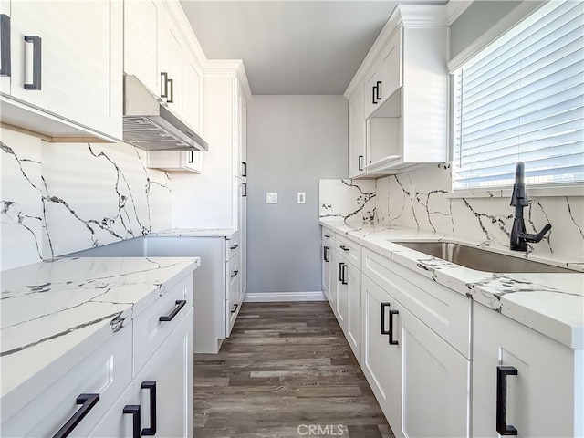 kitchen with white cabinetry, light stone countertops, sink, and dark wood-type flooring