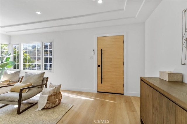 living area featuring light hardwood / wood-style floors