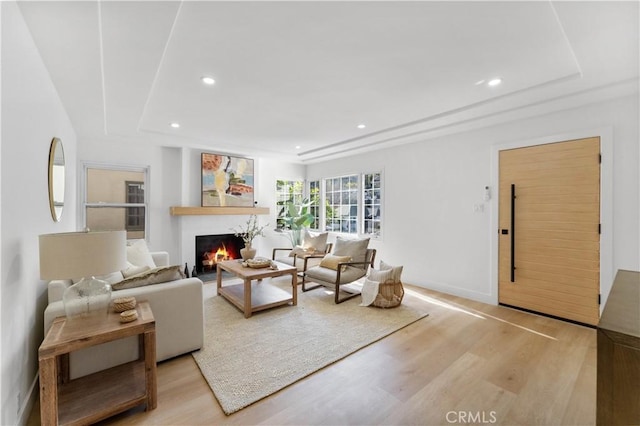 living room with light wood-type flooring and a tray ceiling