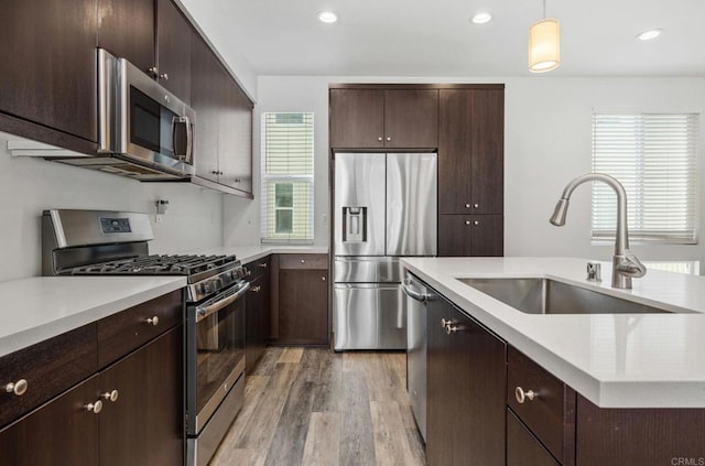 kitchen featuring stainless steel appliances, decorative light fixtures, dark brown cabinets, light hardwood / wood-style flooring, and sink