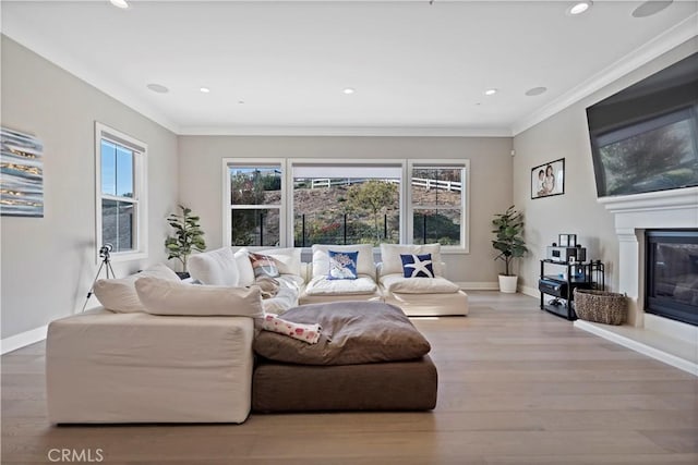 living room featuring light hardwood / wood-style floors and ornamental molding