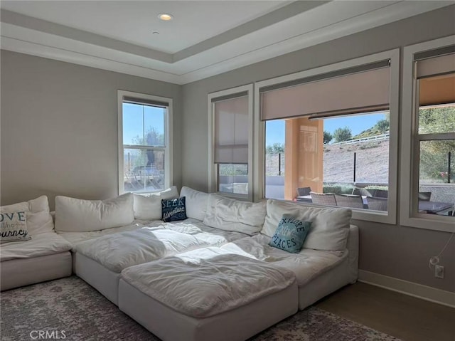 living room with dark hardwood / wood-style flooring