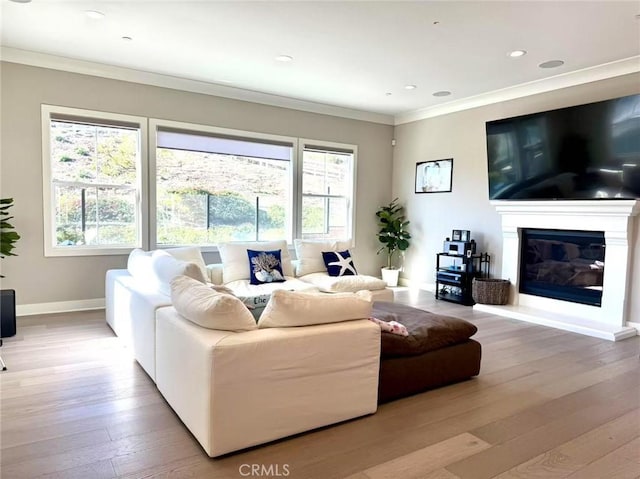 living room featuring light hardwood / wood-style flooring and ornamental molding