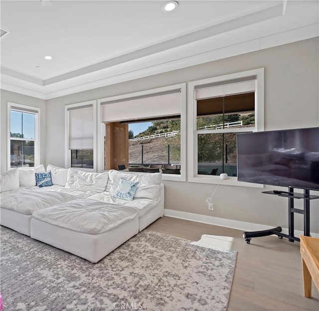 bedroom with hardwood / wood-style floors and a raised ceiling