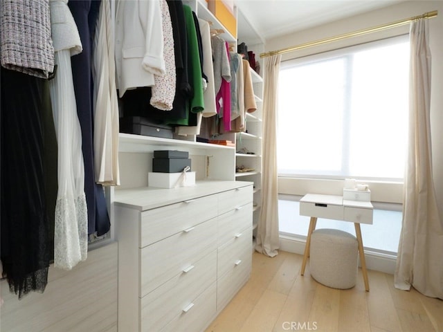 walk in closet featuring light hardwood / wood-style flooring