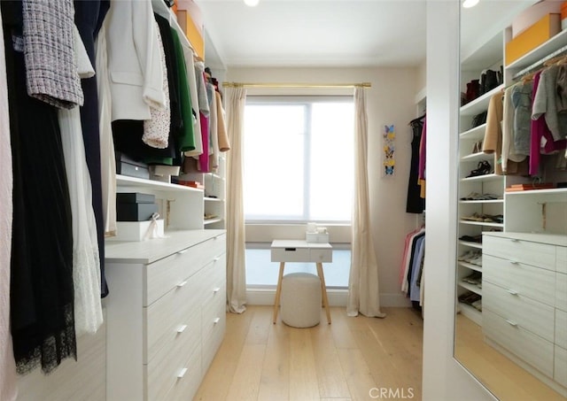 spacious closet with light wood-type flooring