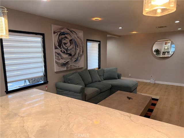 living room featuring hardwood / wood-style flooring