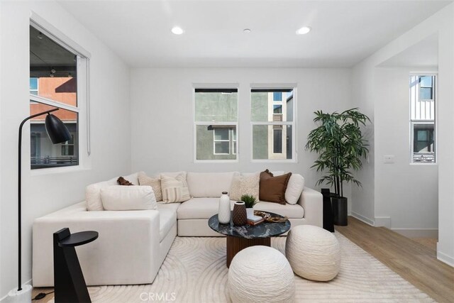 living room with light wood-type flooring