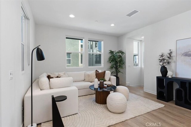 living room featuring light wood-type flooring