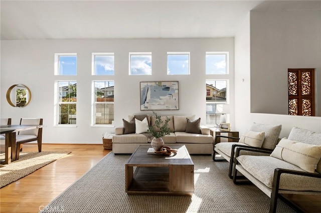 living room with hardwood / wood-style flooring