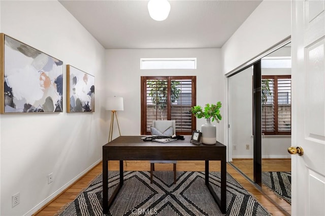 office featuring hardwood / wood-style flooring