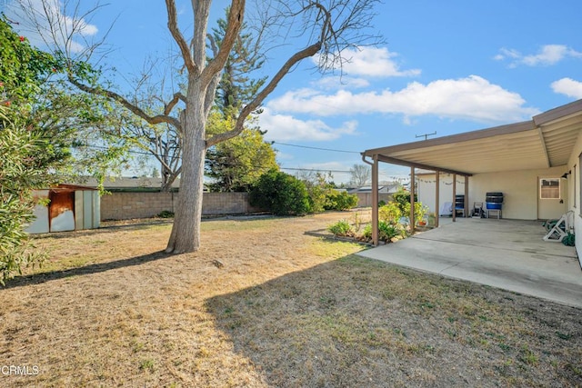 view of yard featuring a patio and a storage unit