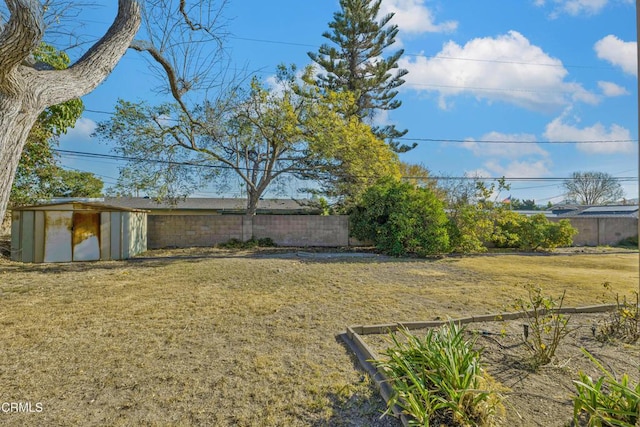 view of yard with a storage unit