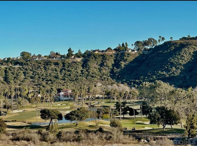 view of mountain feature