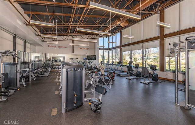 workout area with a high ceiling