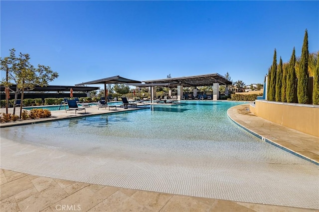 view of swimming pool with a patio