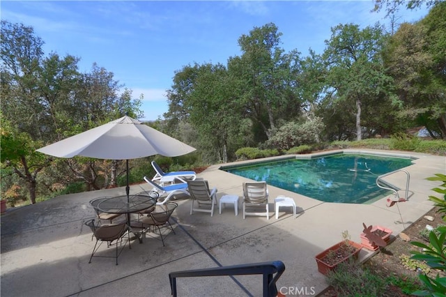 view of swimming pool with a patio