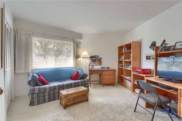 home office featuring carpet floors