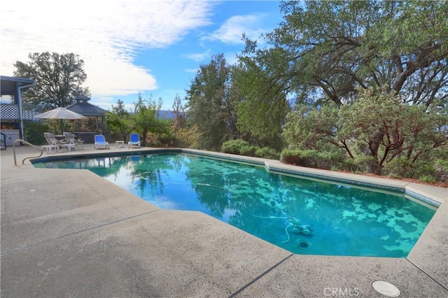 view of pool featuring a patio