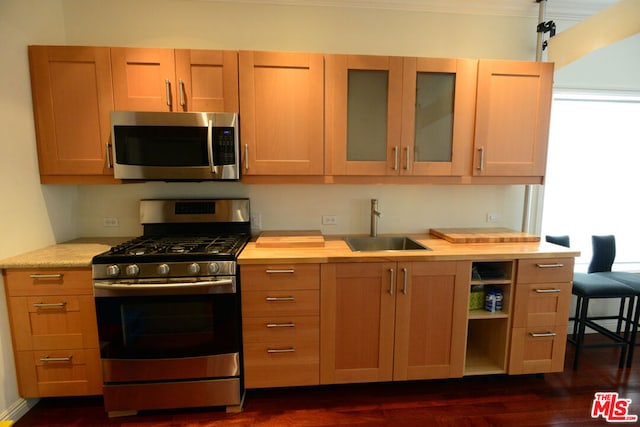 kitchen featuring dark hardwood / wood-style flooring, stainless steel appliances, butcher block counters, and sink