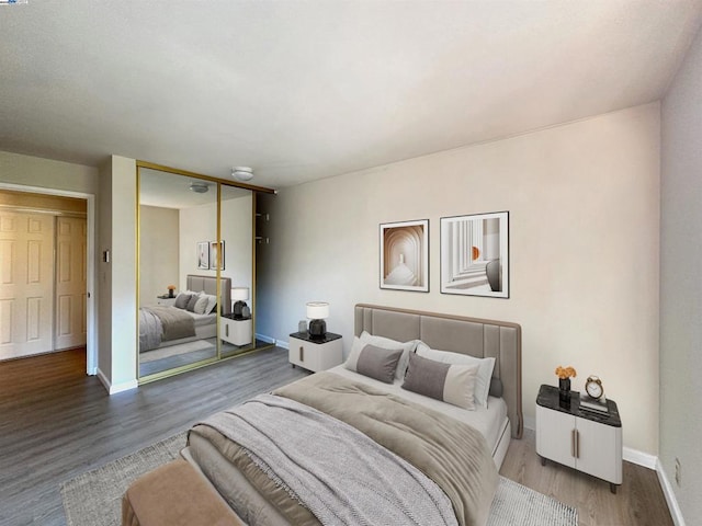 bedroom featuring wood-type flooring and a closet