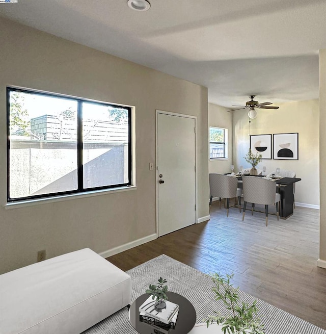 living room featuring ceiling fan and wood-type flooring