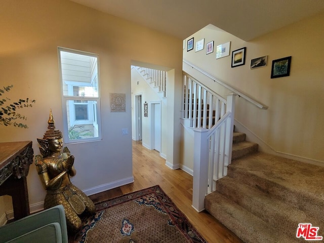 staircase with wood-type flooring