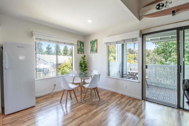 dining space featuring hardwood / wood-style floors