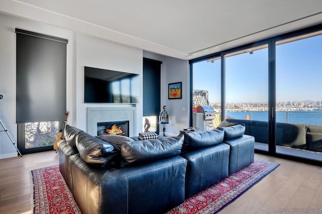 living room featuring expansive windows and light wood-type flooring