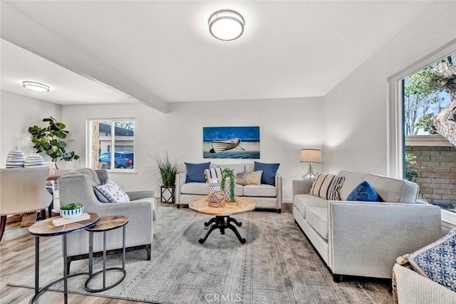 living room with hardwood / wood-style floors