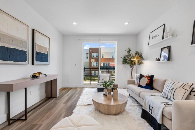 living room featuring hardwood / wood-style flooring