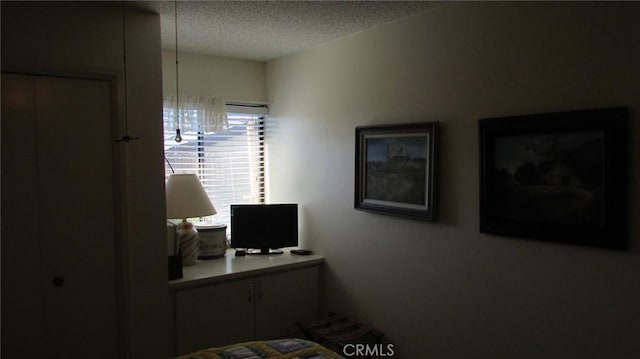 bedroom featuring a textured ceiling