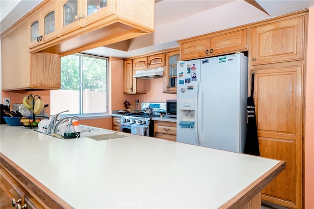 kitchen with under cabinet range hood, appliances with stainless steel finishes, light countertops, and a sink