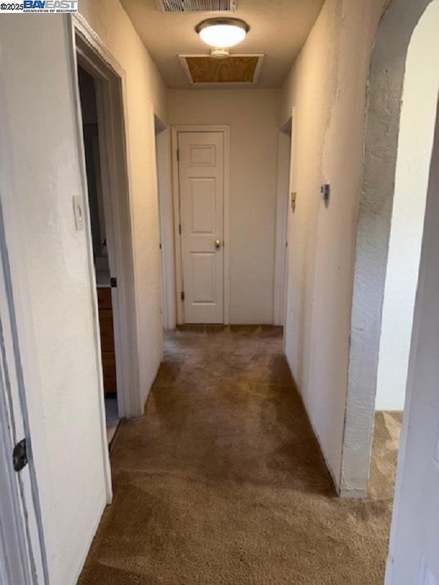 hallway with carpet floors