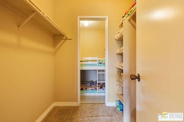 walk in closet with carpet