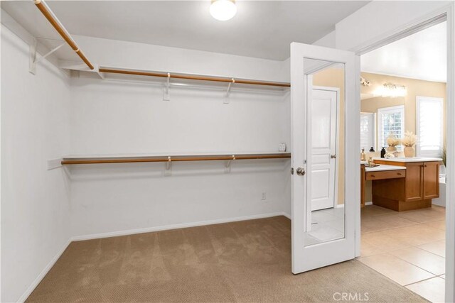 spacious closet with light carpet