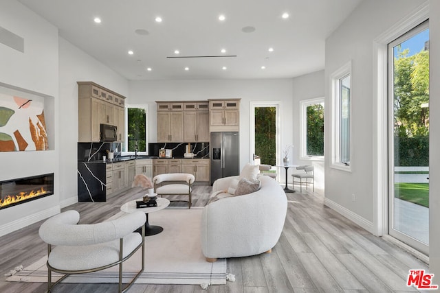 living room featuring light hardwood / wood-style flooring and a healthy amount of sunlight